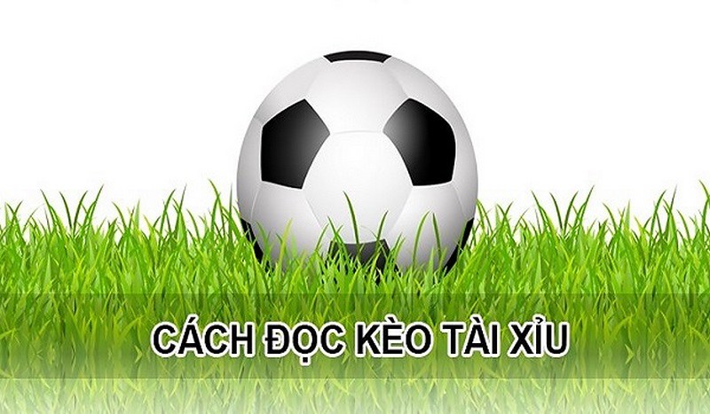 Cách đọc kèo tài xỉu