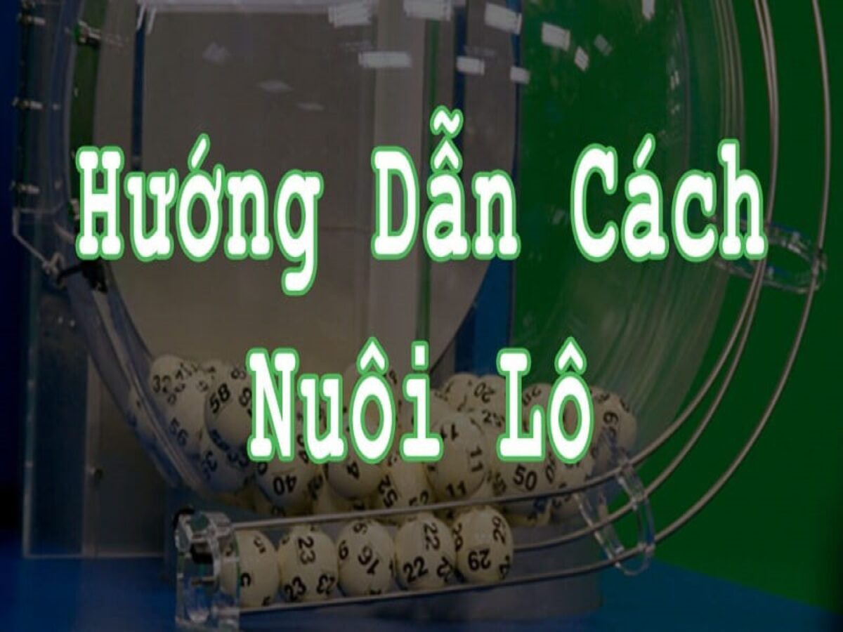 Nuôi lô tiếp sức - Kinh nghiệm nuôi lô khung hiệu quả tại k9cc